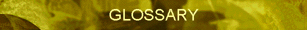 GLOSSARY
