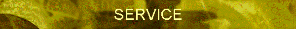 SERVICE